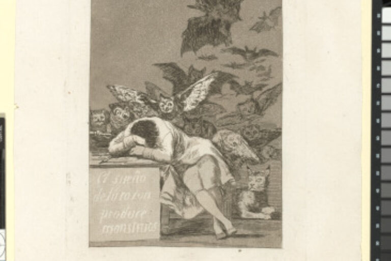 EL SUEÑO DE LA RAZON PRODUCE MONSTROUS (THE SLEEP OF REASON PRODUCES MONSTERS)