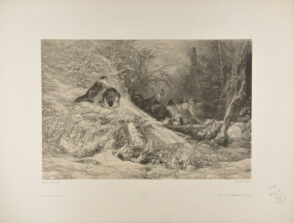 À l’Abri du givre