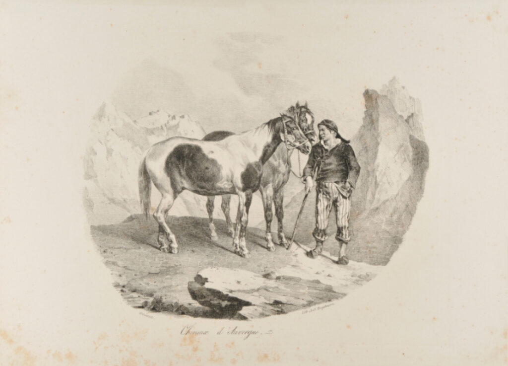 Chevaux d’ Auvergne