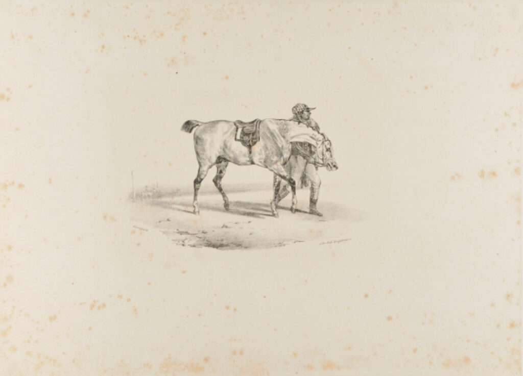 Cheval que l’on promène avant la course