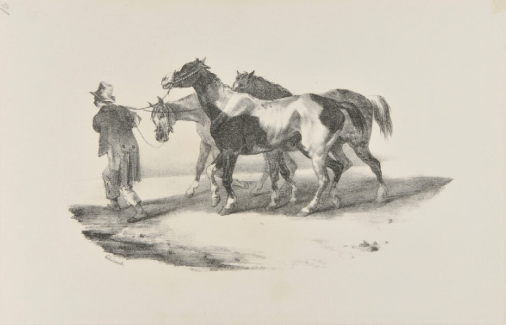 Trois chevaux consuits à l’écorcheur