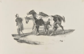 Trois chevaux consuits à l’écorcheur