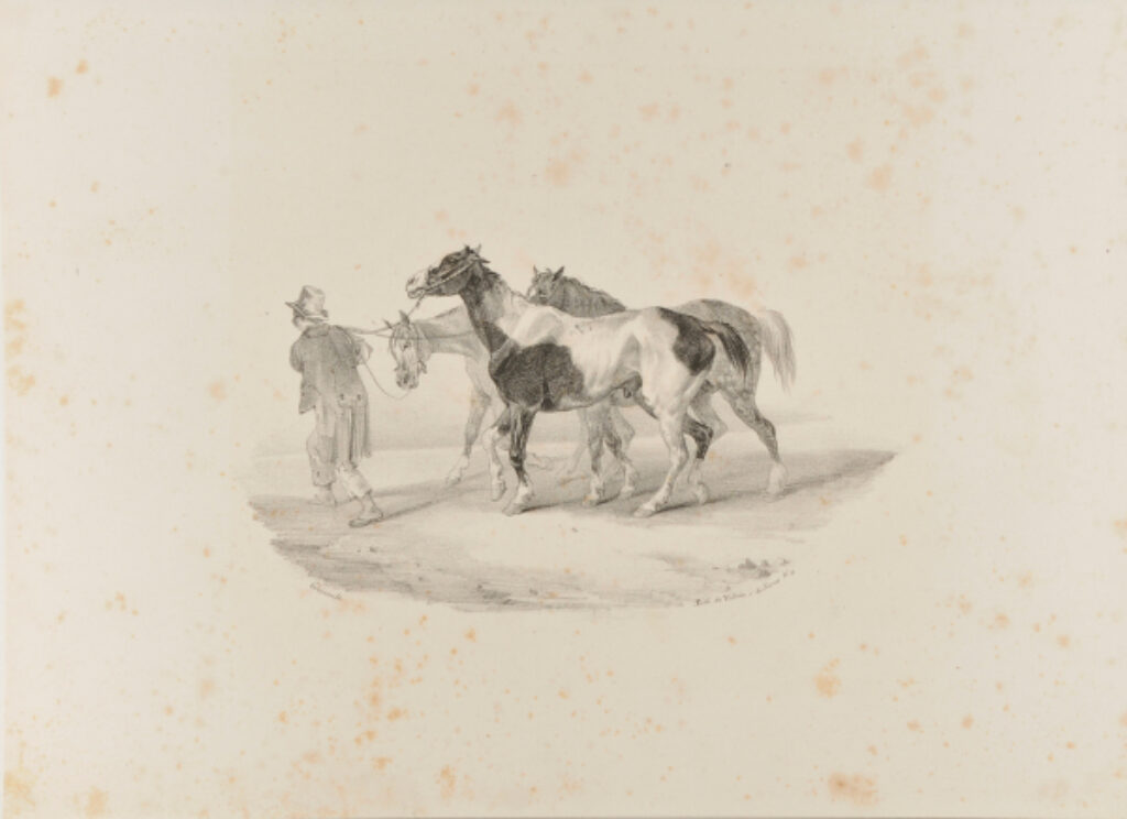 Trois chevaux conduits à l’écorcheur