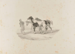 Trois chevaux conduits à l’écorcheur