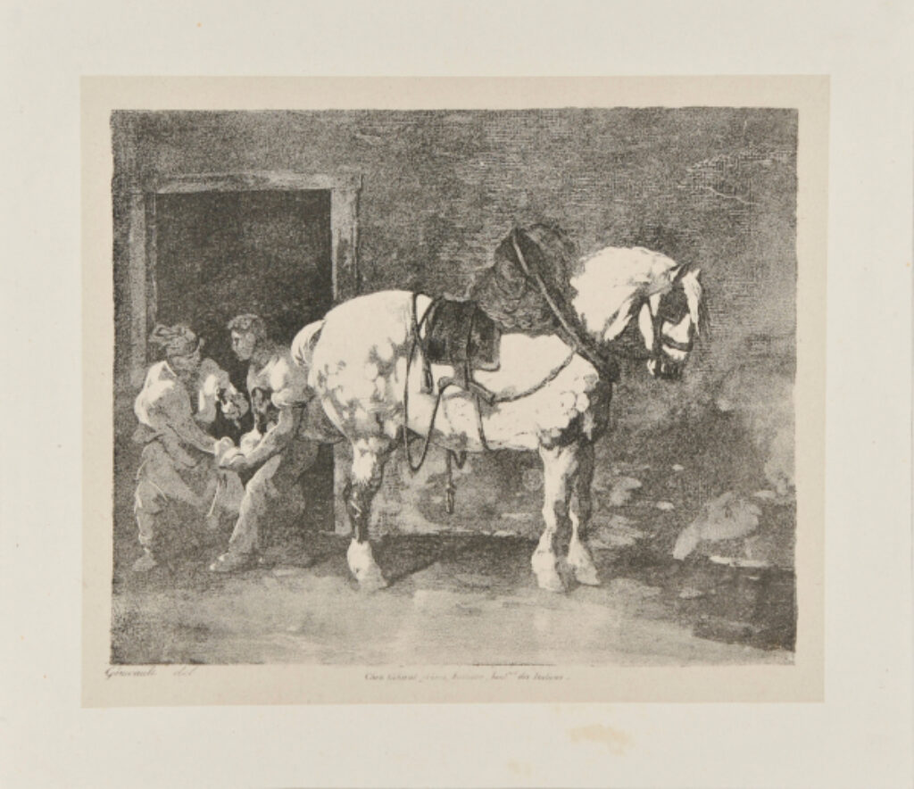 Cheval que l’on ferre