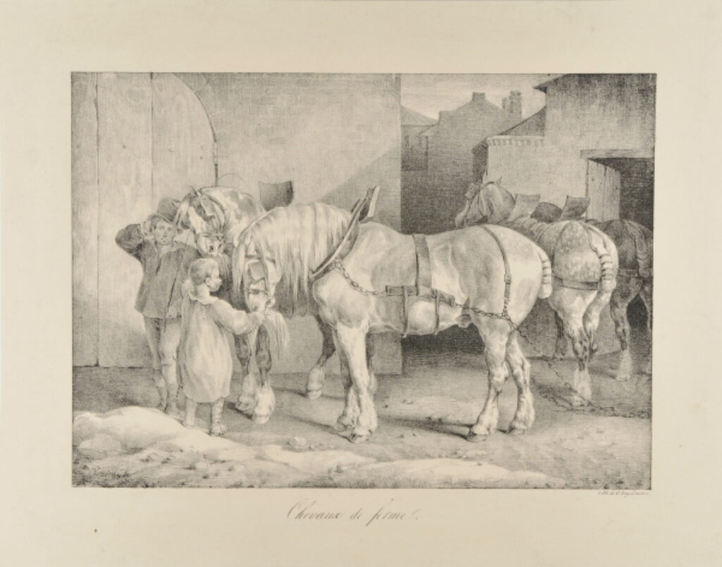 Chevaux de ferme