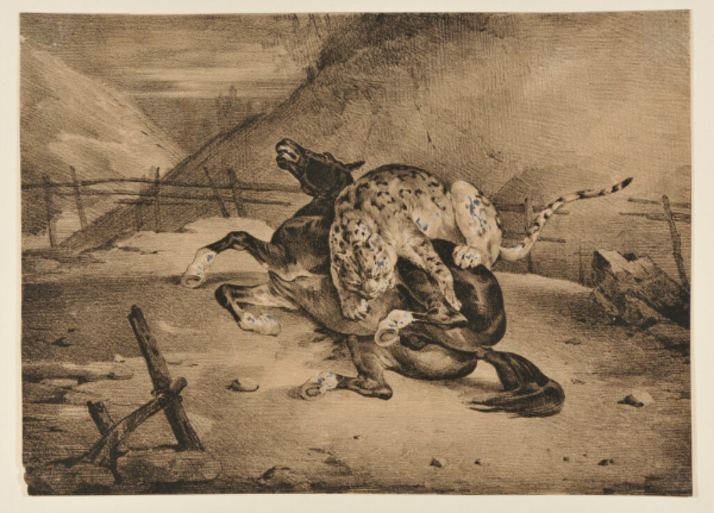 Tigre dévorant un cheval