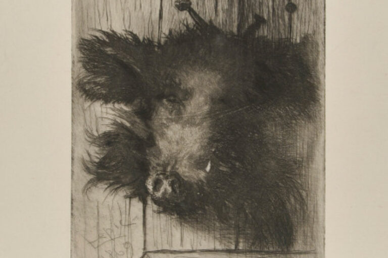 HEAD OF A BOAR, NAILED TO A DOOR