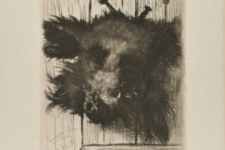 HEAD OF A BOAR, NAILED TO A DOOR