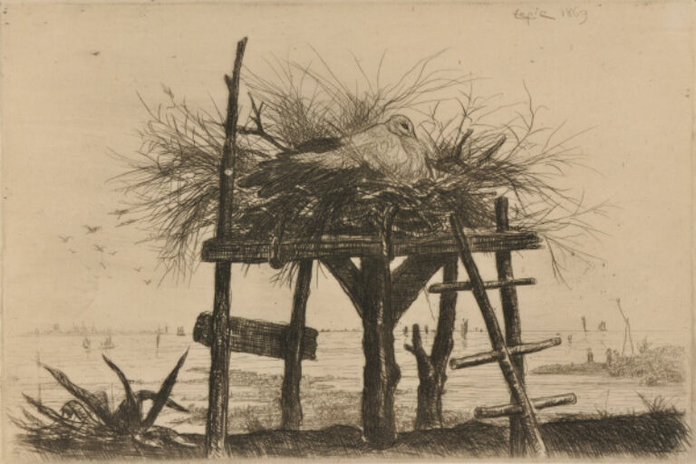 NEST