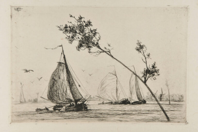 SAILBOATS, A SHRUB IN THE FOREGROUND
