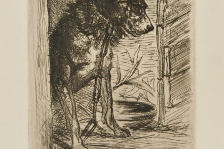 A VICTIM OF ARBITRARINESS