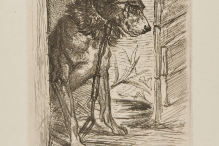 A VICTIM OF ARBITRARINESS