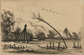 Avant la tempête, vol d’oiseaux et arbustes courbés par le vent