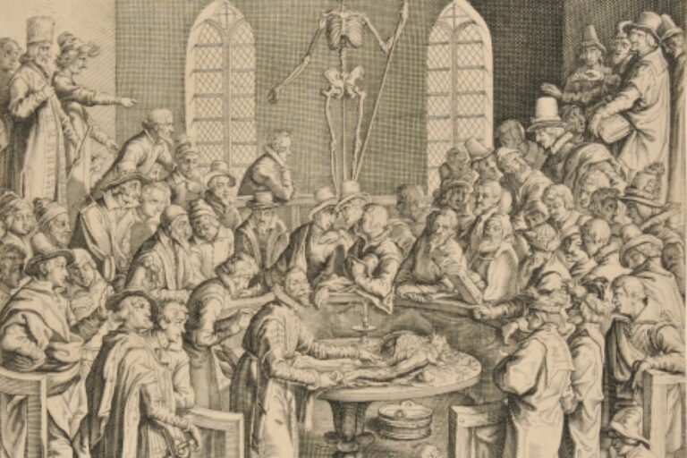 ANATOMICAL LESSON OF PIETER PAAW