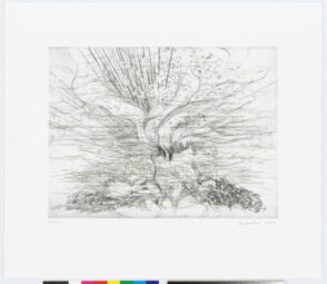 Plate 6 from the portfolio “Landscape Allegories”