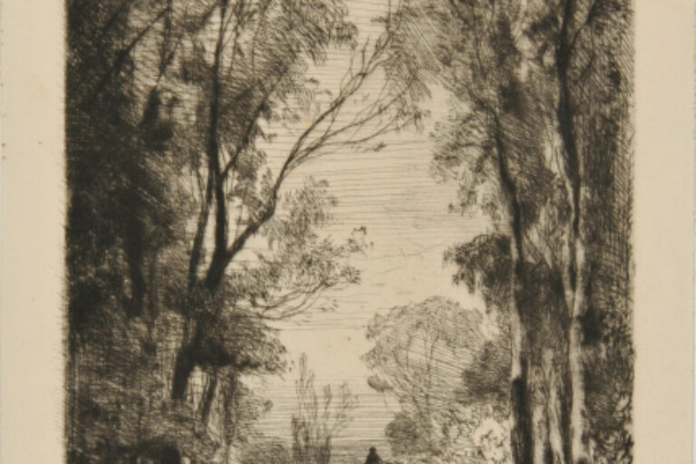 TRAVELER ON A ROAD IN A FOREST
