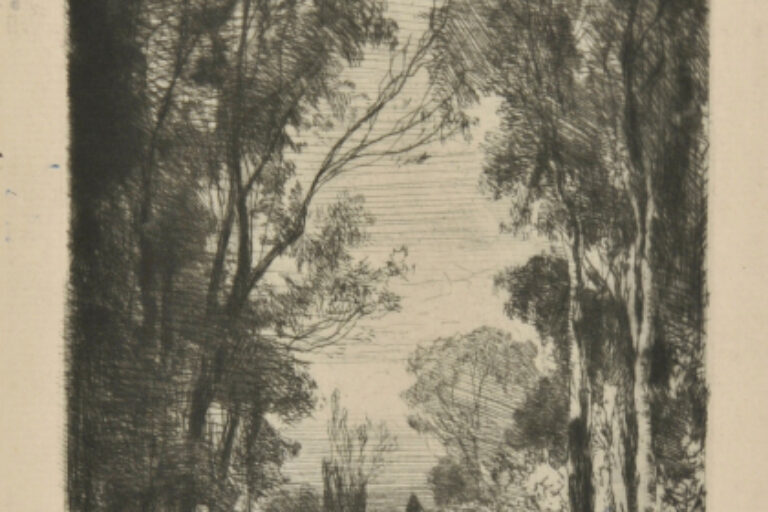 TRAVELER ON A ROAD IN A FOREST