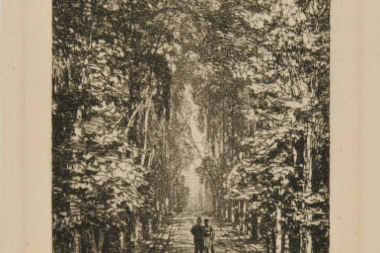 THE ABDUCTION OF CAMILLE