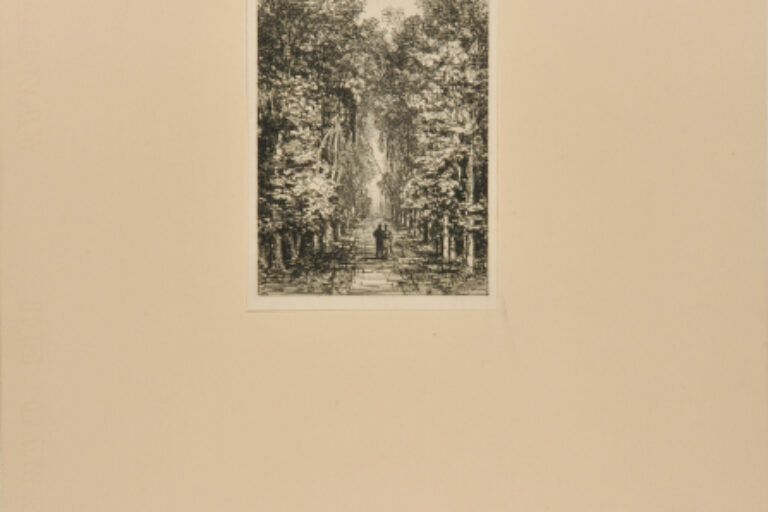 THE ABDUCTION OF CAMILLE