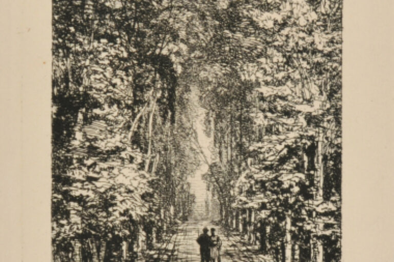 THE ABDUCTION OF CAMILLE