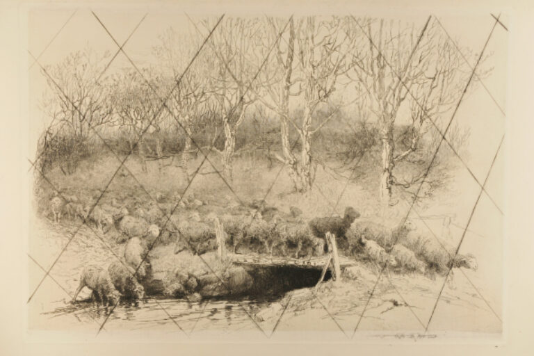 DRIVING SHEEP ON A DUSTY ROAD