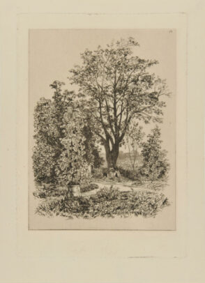 Dans mon jardin à Bordeaux