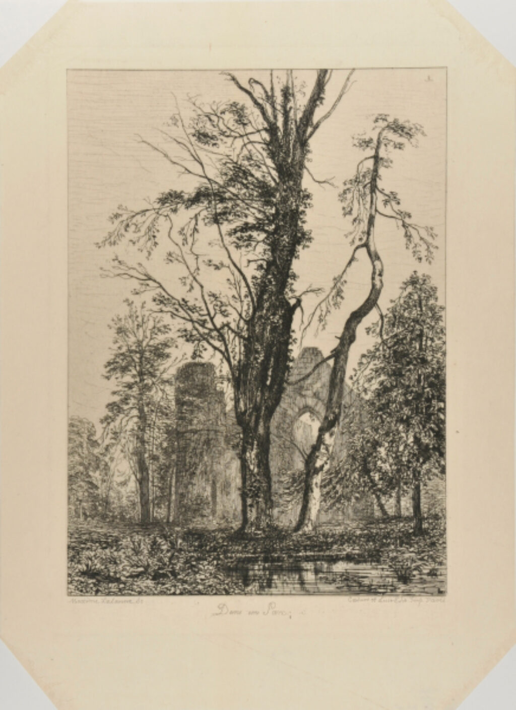 Dans un Parc, arbres et ruines