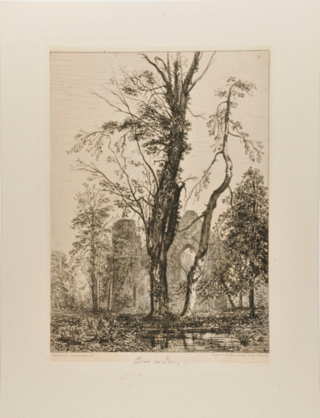 Dans un Parc, arbres et ruines