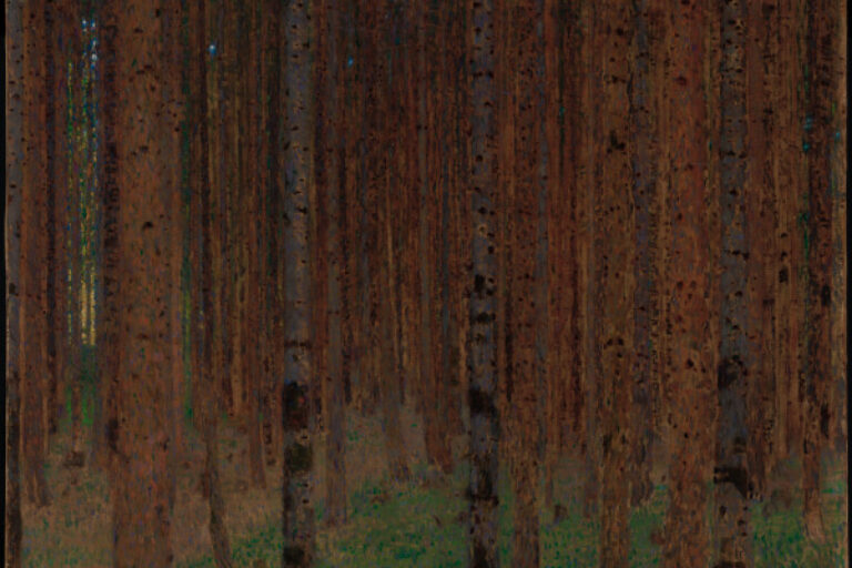 PINE FOREST II