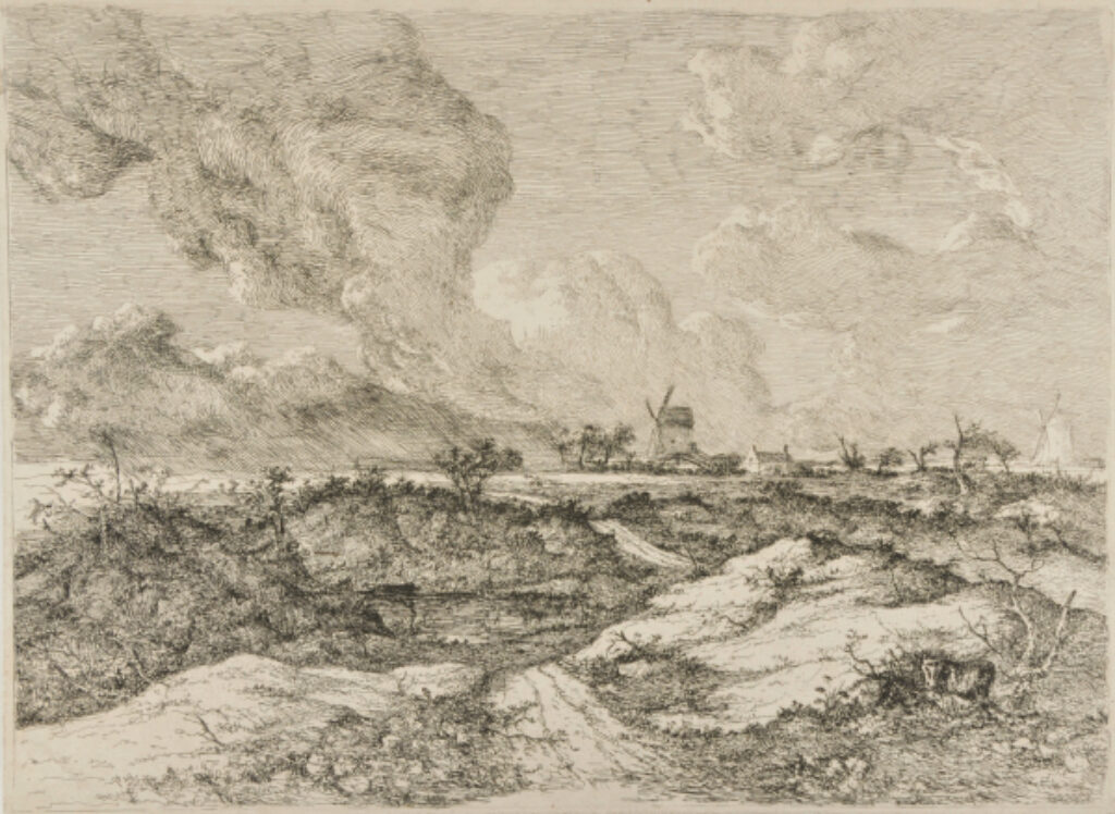 Moyshold (Mousehold) Heath