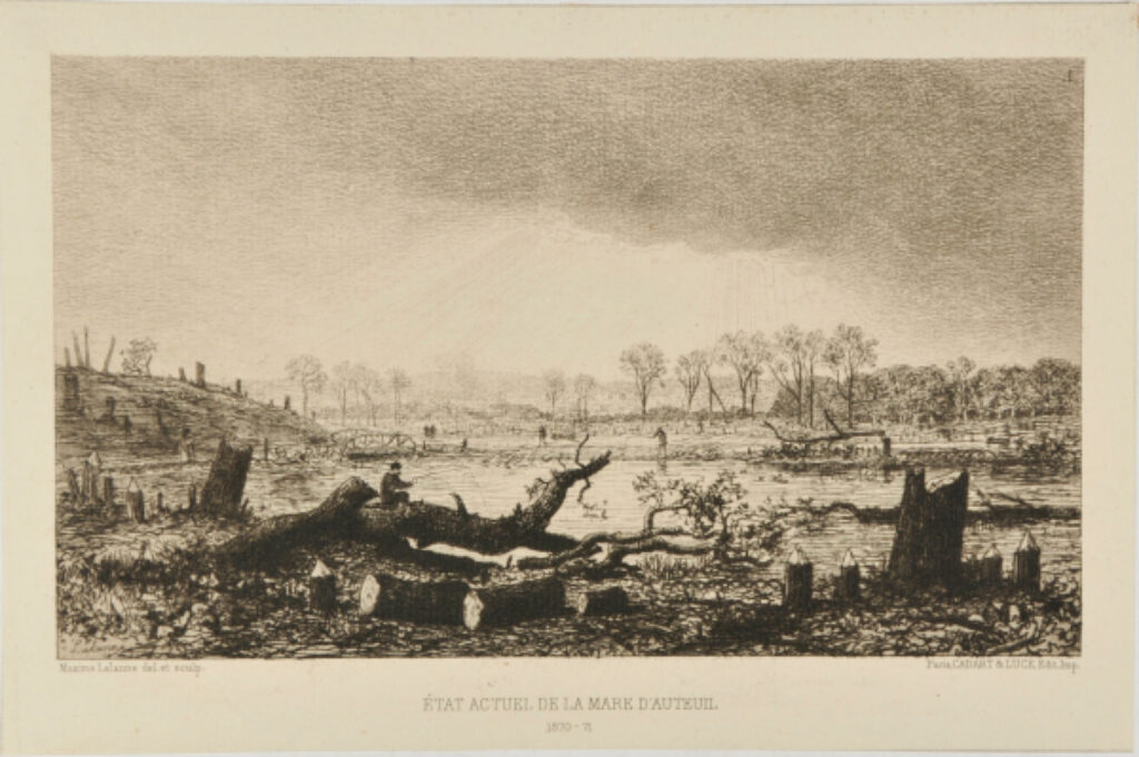 État actuel de la mare d’Auteuil - Image 2