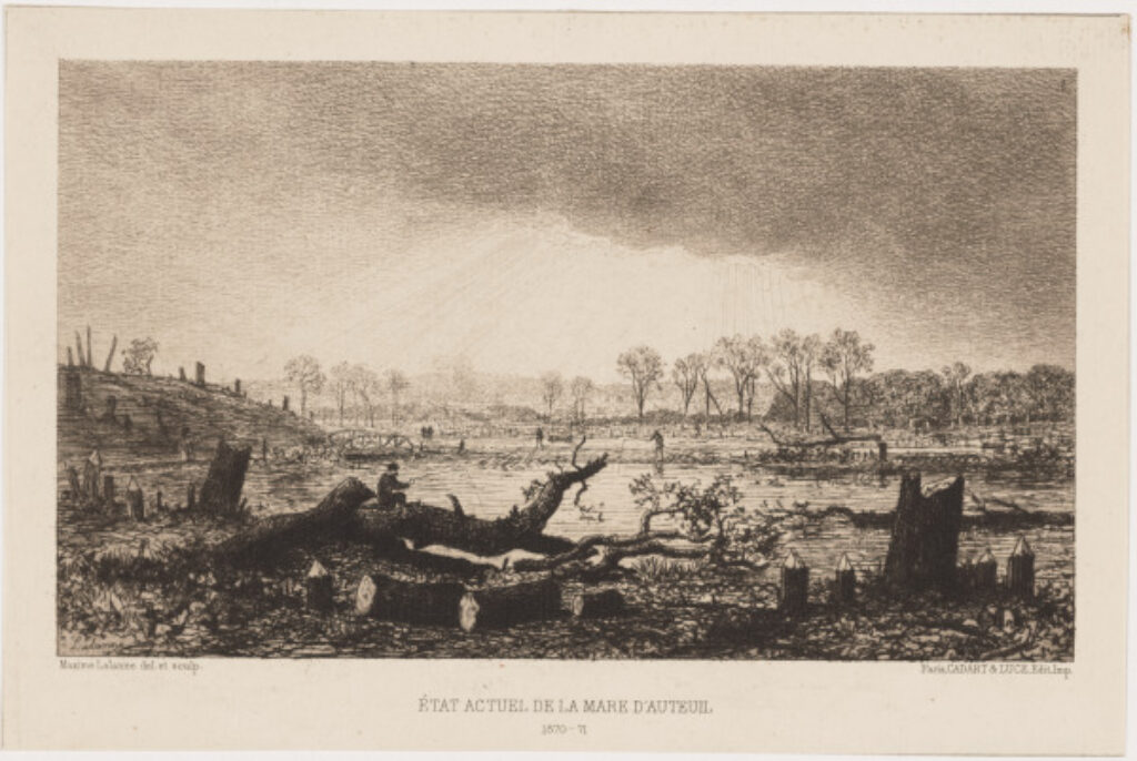 État actuel de la mare d’Auteuil - Image 1