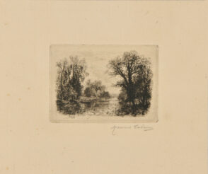 Rivière bordée d’arbres