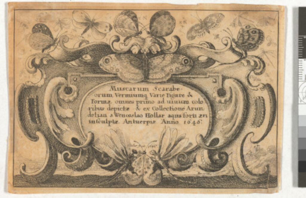 Title Page