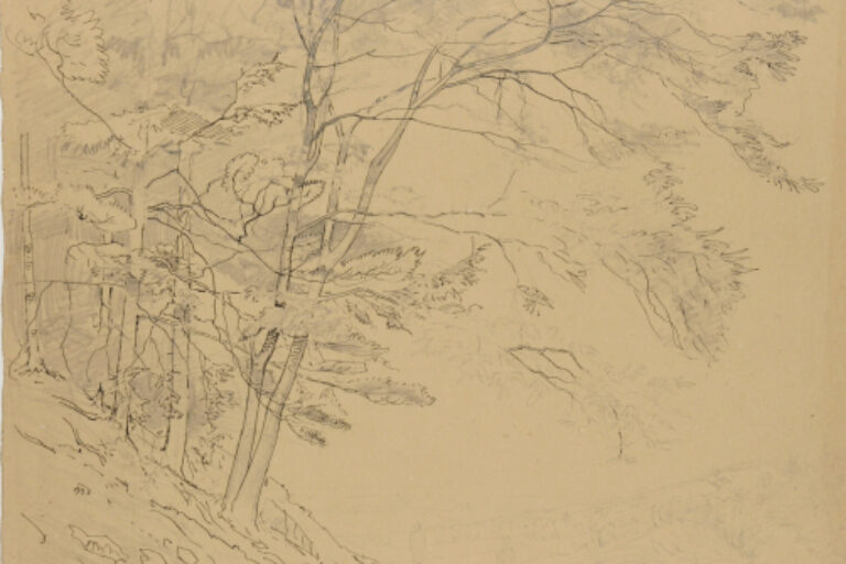 PATH NEXT TO FOREST WITH FIGURES