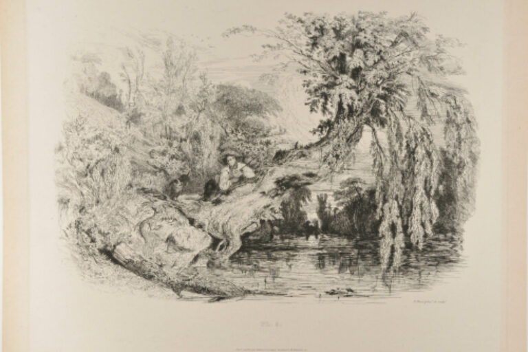 THE POACHER