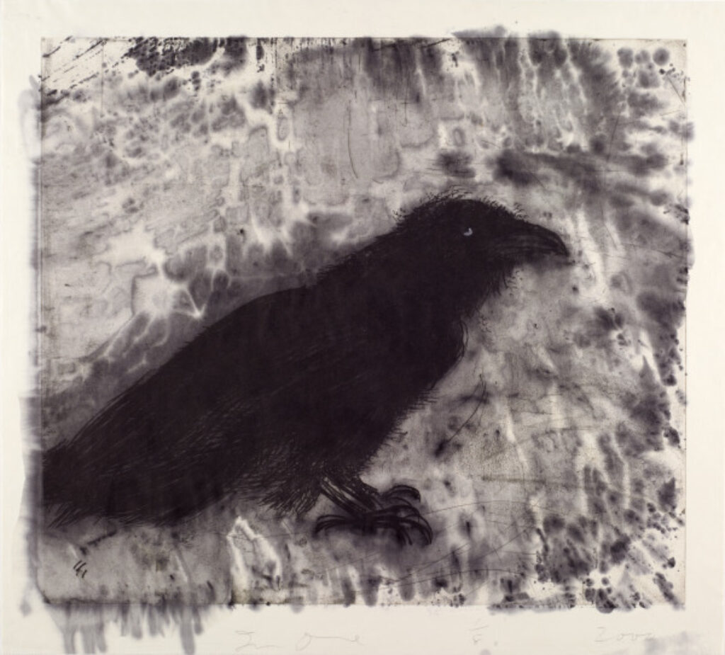 Raven on Lebanese Border - Image 1