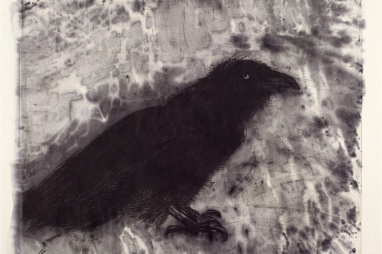 RAVEN ON LEBANESE BORDER