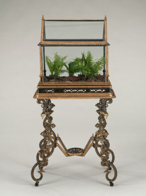 Wardian Case (Terrarium)