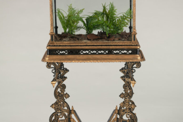 Wardian Case (Terrarium)