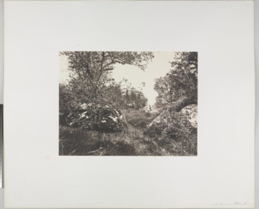 Près La Reine Blanche - Image 1