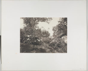 Près La Reine Blanche