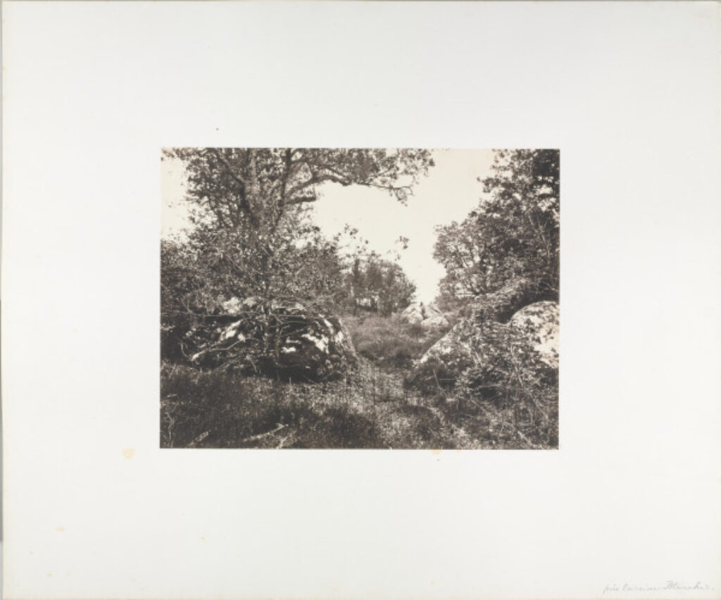 Près La Reine Blanche - Image 2