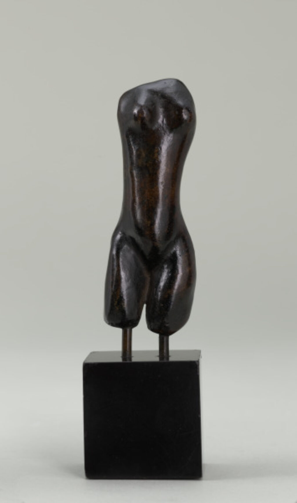 Small Thin Torso - Image 1