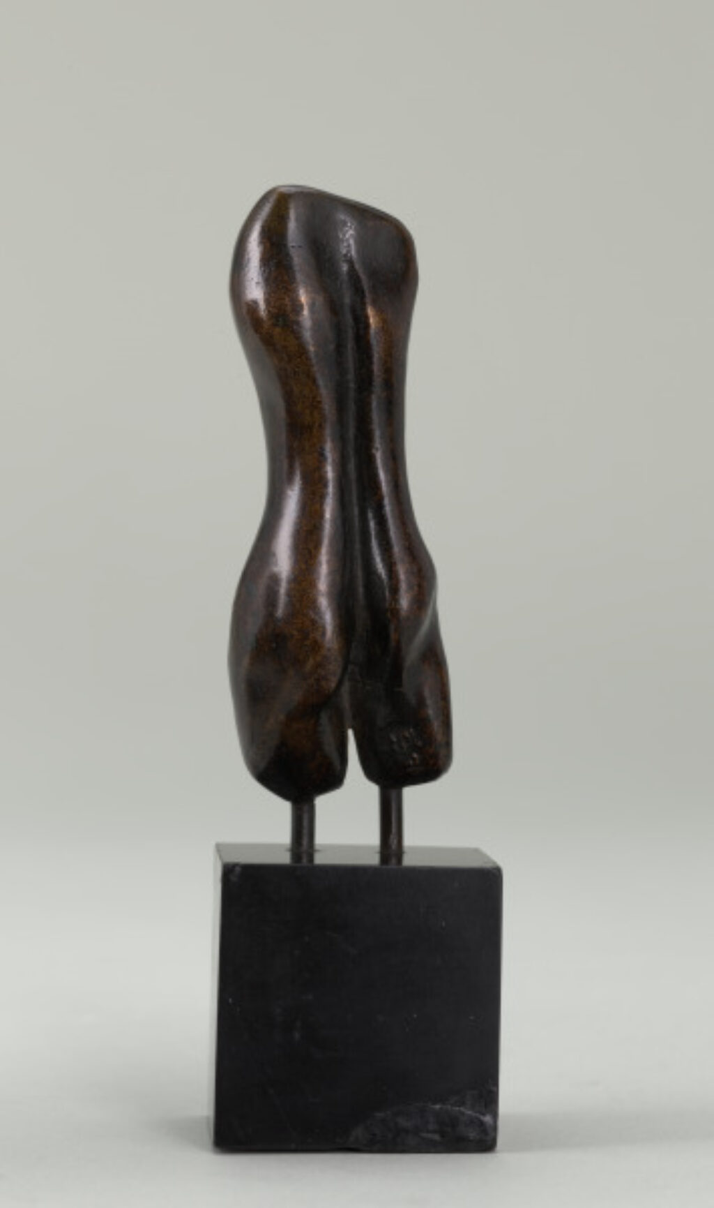 Small Thin Torso - Image 6