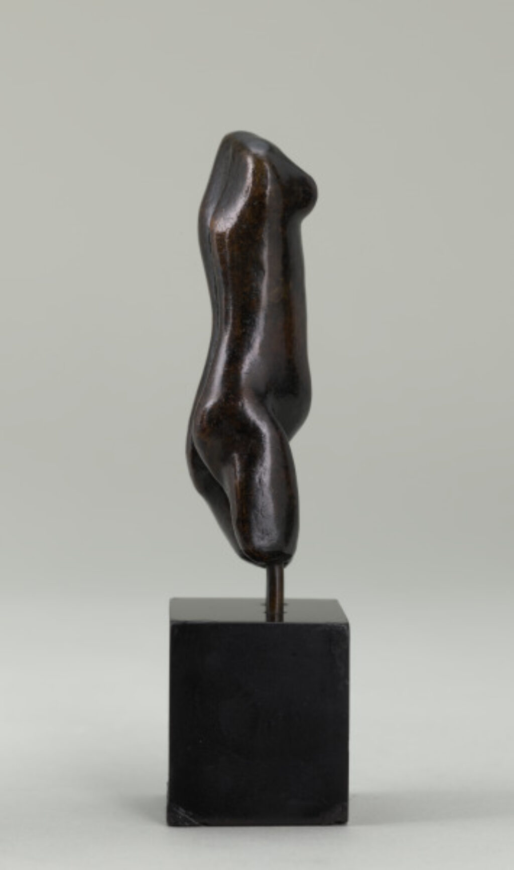 Small Thin Torso - Image 4