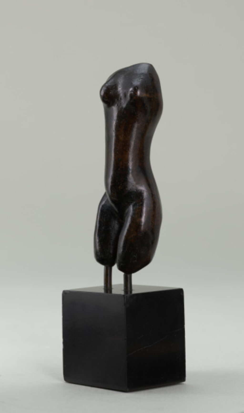 Small Thin Torso - Image 2