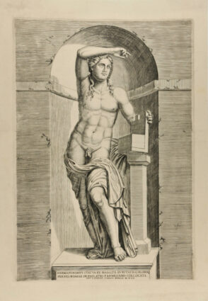 Hermaphroditi. Statva. ex. Basalte…