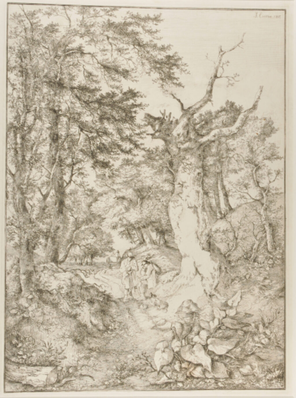 Sandy Road through Woodland, near Norwich